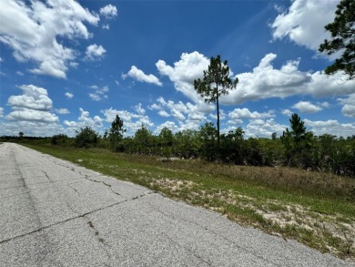 Here's your change to own a spacious lot at a great price!  This - photo 5