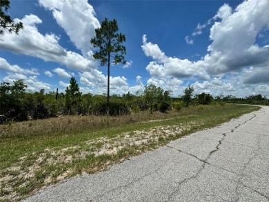 Here's your change to own a spacious lot at a great price!  This - photo 6