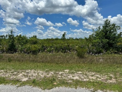 Here's your change to own a spacious lot at a great price!  This - photo 7