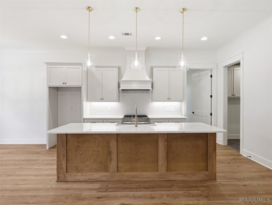 Welcome to 240 River Birch Trail. This 3 bedroom, two bath - photo 12