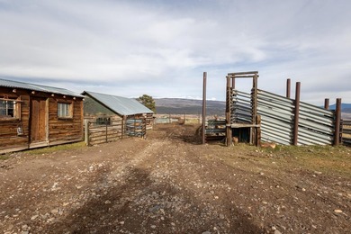 The Gates Ranch is a rare 744+/--acre legacy hunting and cattle - photo 30