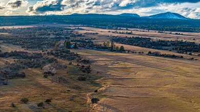 The Gates Ranch is a rare 744+/--acre legacy hunting and cattle - photo 36
