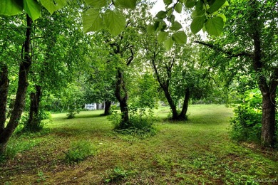 More than a cabin. More than a home. A lifestyle! Why settle for - photo 40
