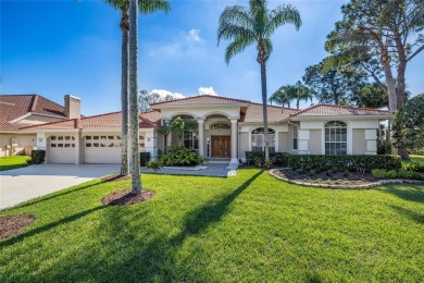 Lake Home For Sale in Oldsmar, Florida