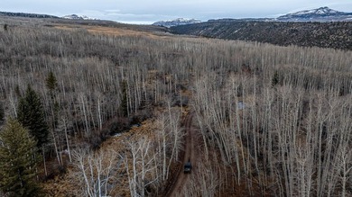 The Gates Ranch is a rare 744+/--acre legacy hunting and cattle - photo 42