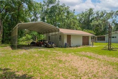 Room to Roam and Space for Your Toys...Seller offering a $2k - photo 42