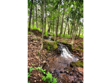 More than a cabin. More than a home. A lifestyle! Why settle for - photo 42