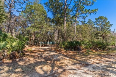 Build Your Dream Home on Over Half an Acre! This beautiful - photo 3