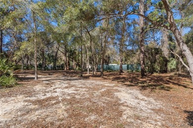 Build Your Dream Home on Over Half an Acre! This beautiful - photo 4