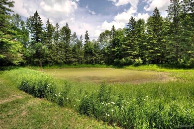 More than a cabin. More than a home. A lifestyle! Why settle for - photo 47