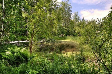 More than a cabin. More than a home. A lifestyle! Why settle for - photo 48