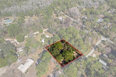 Build Your Dream Home on Over Half an Acre! This beautiful - photo 10