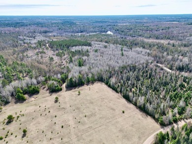53 acres of mostly cleared land on pristine Croker Lake. The - photo 18