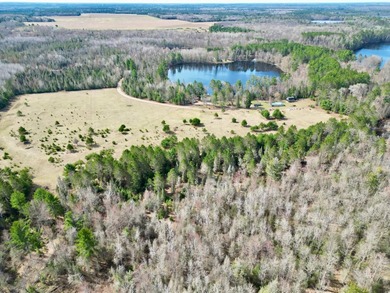 53 acres of mostly cleared land on pristine Croker Lake. The - photo 19