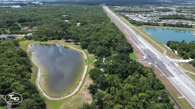 Escape to the privacy and natural beauty of Myakka River Trails - photo 4
