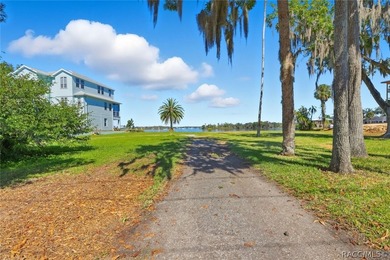 Come build your dream house on this one-of-a-kind river front - photo 4