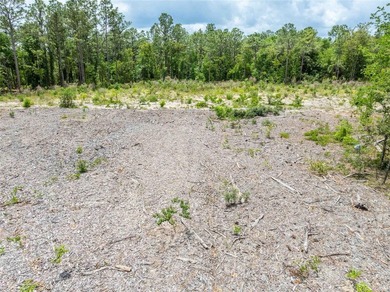 Located in the rapidly growing Spring Hill area, this 4.6-acre - photo 17