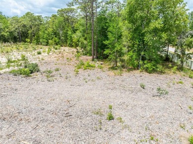 Located in the rapidly growing Spring Hill area, this 4.6-acre - photo 21