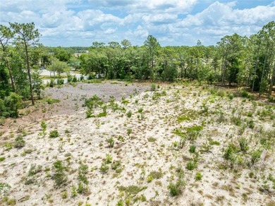 Located in the rapidly growing Spring Hill area, this 4.6-acre - photo 22