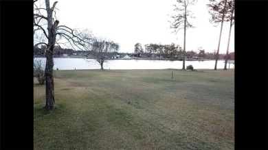 Lake Lot For Sale in Other, Georgia