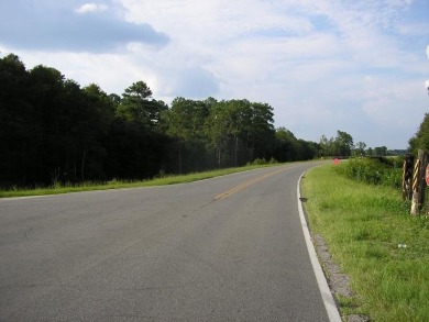 (private lake, pond, creek) Acreage For Sale in Waycross Georgia