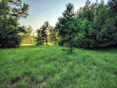 (private lake, pond, creek) Acreage For Sale in Gilmer Texas