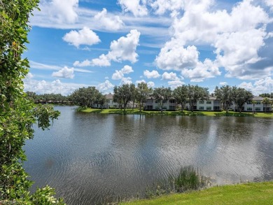 (private lake, pond, creek) Home For Sale in Naples Florida