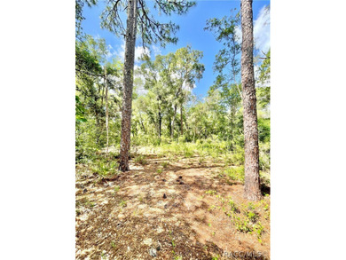 Tsala Apopka Chain of Lakes Acreage For Sale in Inverness Florida