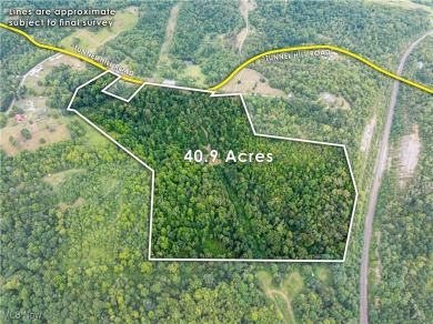 (private lake, pond, creek) Acreage Sale Pending in Bowerston Ohio