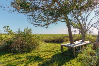 Here's your chance to own a private island! 0 Stono River - photo 11