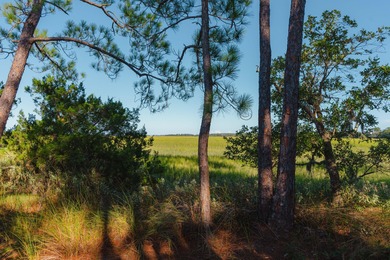 Here's your chance to own a private island! 0 Stono River - photo 12