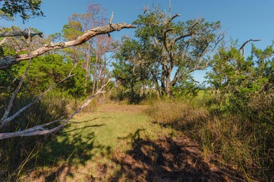 Here's your chance to own a private island! 0 Stono River - photo 13