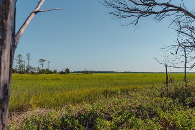Here's your chance to own a private island! 0 Stono River - photo 14
