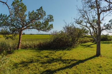 Here's your chance to own a private island! 0 Stono River - photo 15