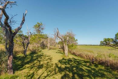 Here's your chance to own a private island! 0 Stono River - photo 16