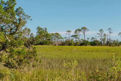 Here's your chance to own a private island! 0 Stono River - photo 17