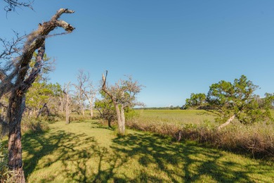 Here's your chance to own a private island! 0 Stono River - photo 18