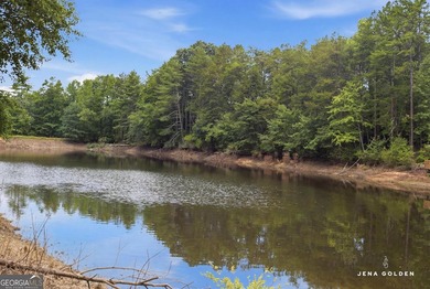 There's a reason people move to North Georgia and this home - photo 18