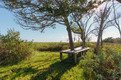 Here's your chance to own a private island! 0 Stono River - photo 19
