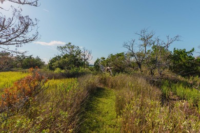 Here's your chance to own a private island! 0 Stono River - photo 20