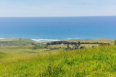 The historic Biaggi Ranch is situated on Mendocino's pristine - photo 22