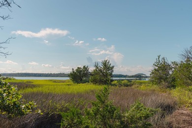 Here's your chance to own a private island! 0 Stono River - photo 23