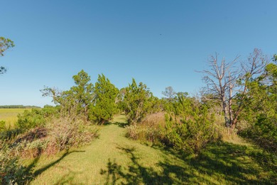 Here's your chance to own a private island! 0 Stono River - photo 24
