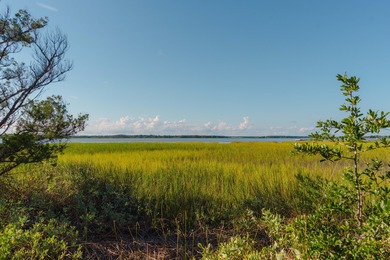 Here's your chance to own a private island! 0 Stono River - photo 25