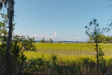Here's your chance to own a private island! 0 Stono River - photo 26