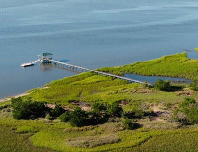 Here's your chance to own a private island! 0 Stono River - photo 27