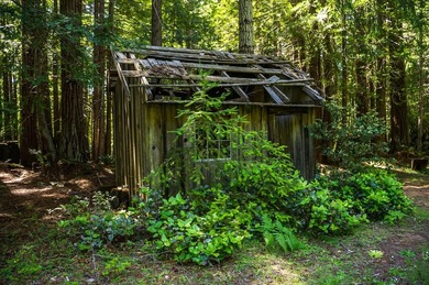 The historic Biaggi Ranch is situated on Mendocino's pristine - photo 31