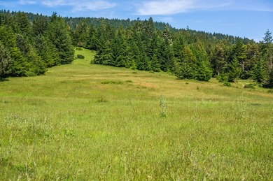 The historic Biaggi Ranch is situated on Mendocino's pristine - photo 34