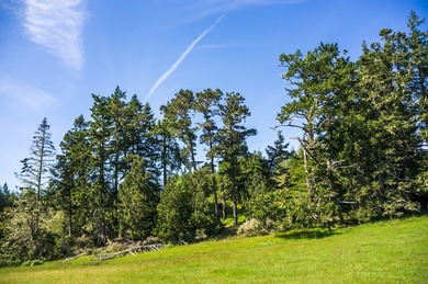 The historic Biaggi Ranch is situated on Mendocino's pristine - photo 36