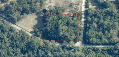 Tsala Apopka Chain of Lakes Lot Sale Pending in Inverness Florida